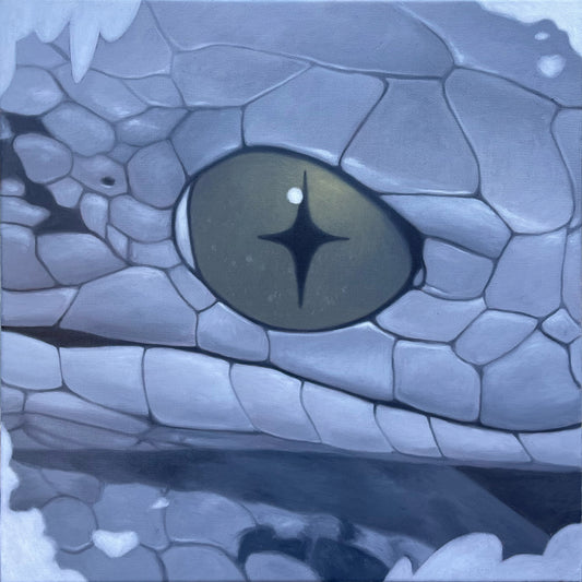 ストームシャドウ 2.0