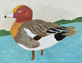 赤頰鴨 | Wigeon｜青木櫻｜Sakura Aoki｜原作