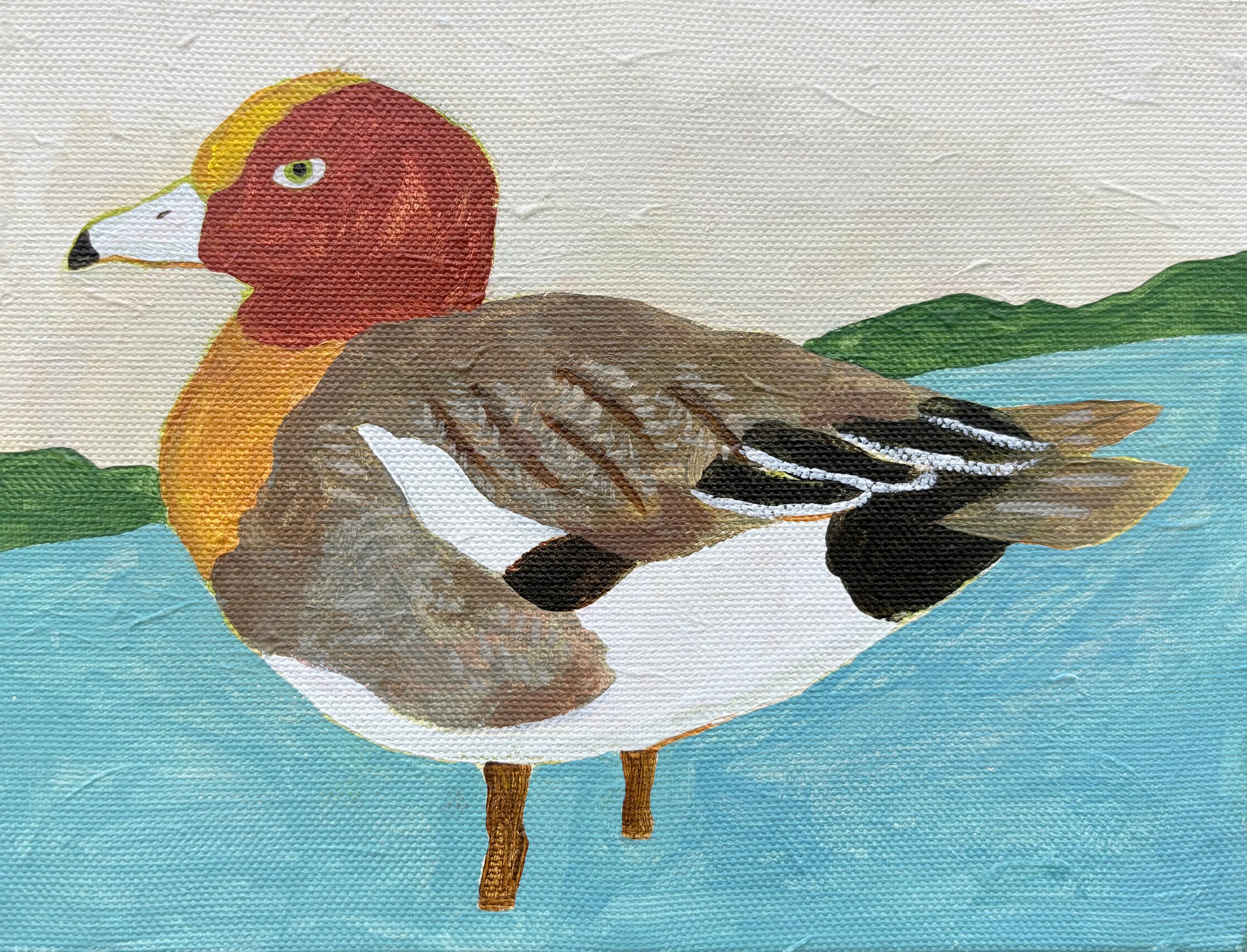 赤頰鴨 | Wigeon｜青木櫻｜Sakura Aoki｜原作